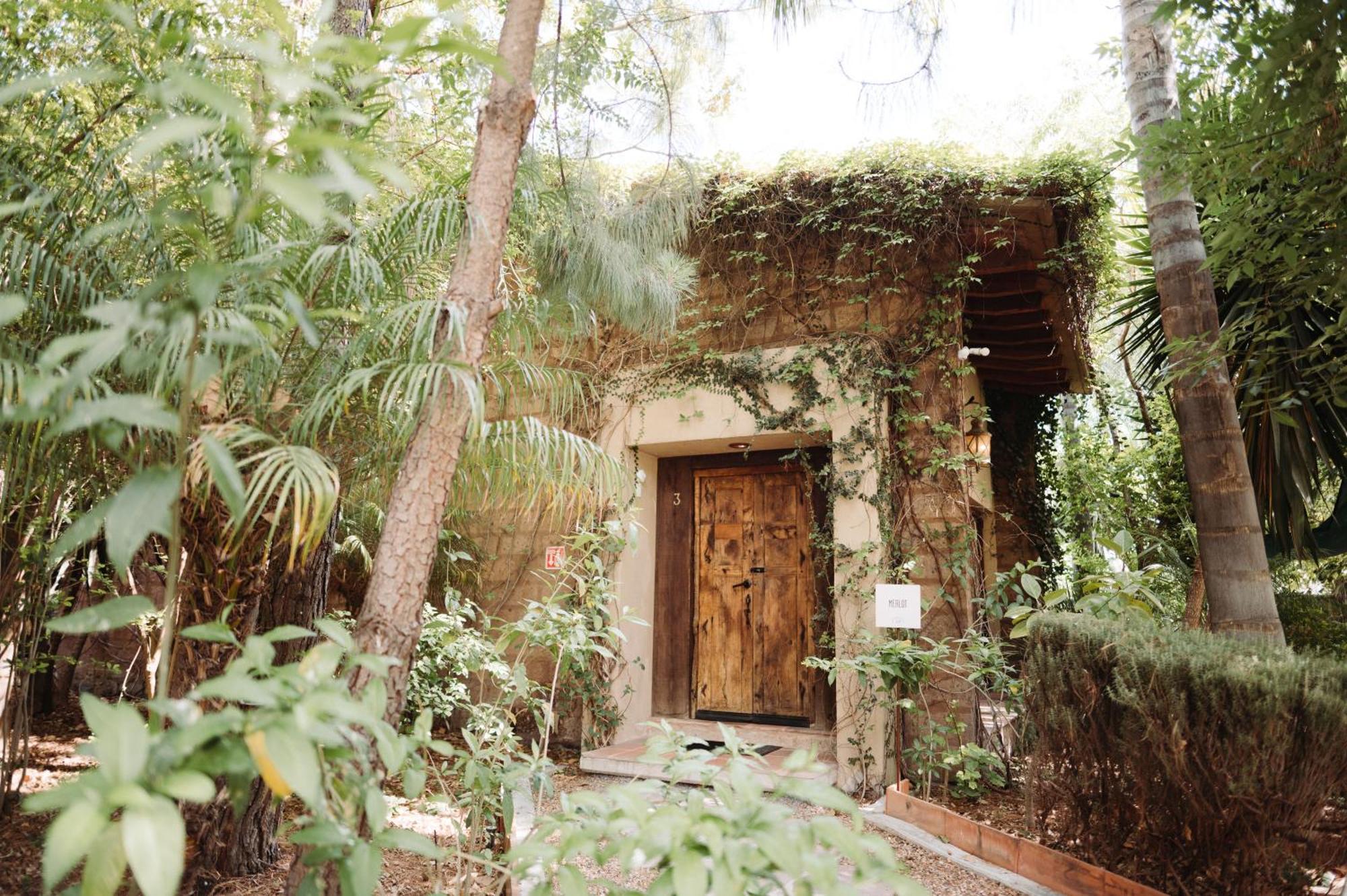Bed and Breakfast Maria & Bernardo Casa - Vinedo El Coyote Exteriér fotografie