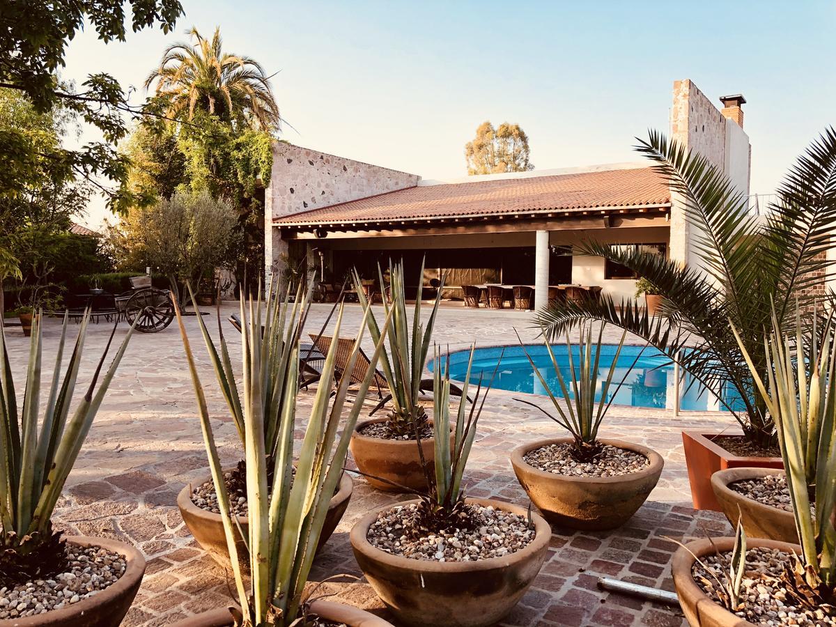 Bed and Breakfast Maria & Bernardo Casa - Vinedo El Coyote Exteriér fotografie